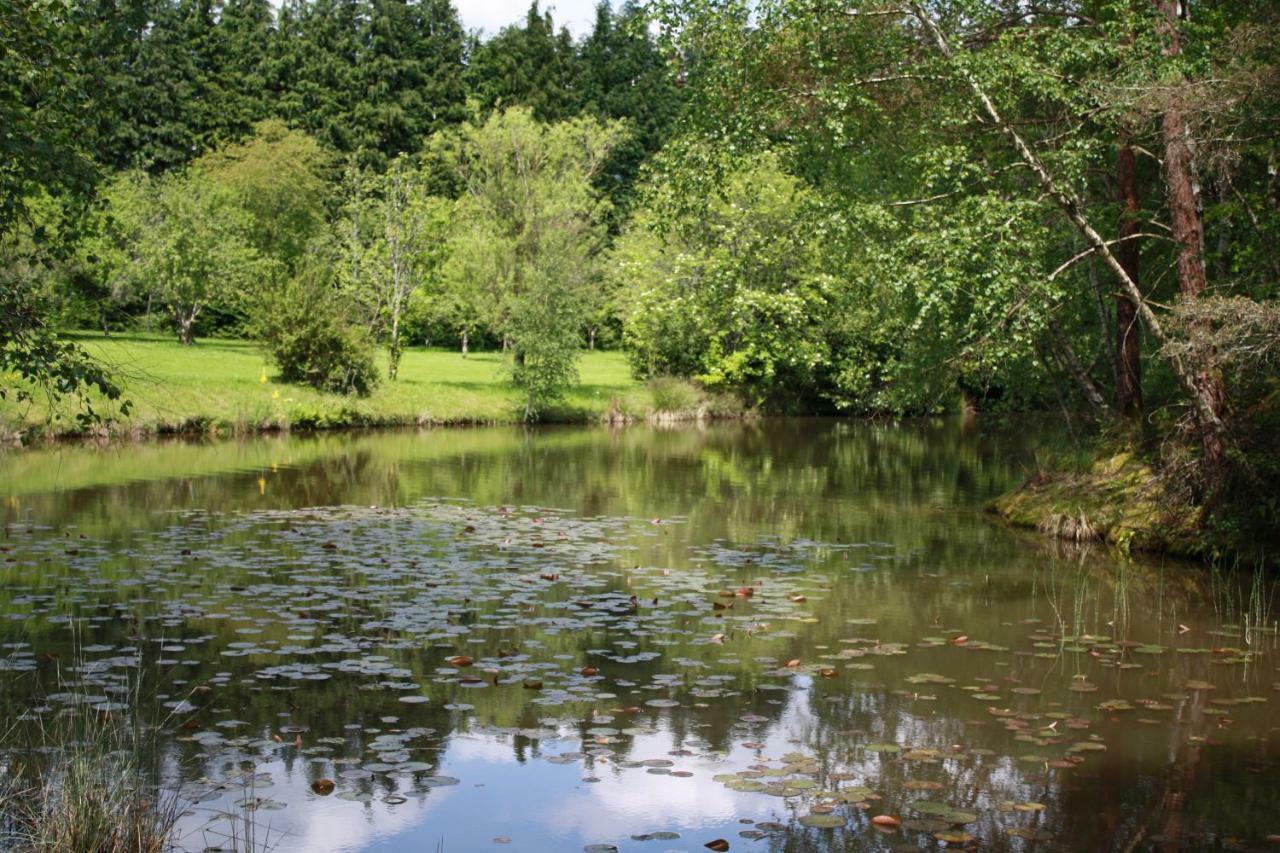 Spruce Lake Sauviat-sur-Vige Exteriér fotografie