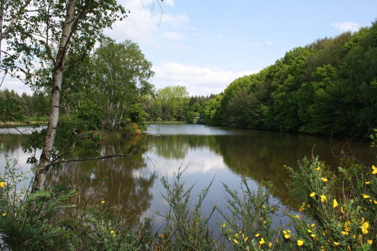 Spruce Lake Sauviat-sur-Vige Exteriér fotografie